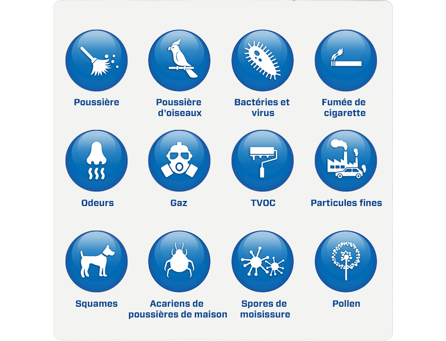allergie acariens
