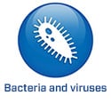 2022 - CH -EN - BS5.2 - Bacteriën/virussen (.ch)