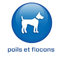 2022 - CH - FR -BS5.6 - Huidschilfers (.ch)