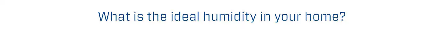 Ventilatorkachels, infrarood ventilatorkachels, elektrische ventilatorkachels, draagbare ventilatorkachels, verwarmingsventilatoren, ventilatorkachels met thermostaat, ventilatorkachels met timer, ventilatorkachels met afstandsbediening, ventilatorkachels met energiebesparing, ventilatorkachels met geavanceerde verwarmingstechnologie, ventilatorkachels met aanpasbare snelheid, ventilatorkachels met geïntegreerde ionisator, ventilatorkachels met luchtverfrisser, ventilatorkachels met UV-C-licht