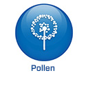 2022 - CH -EN - BS5.4 - Pollen (.ch)