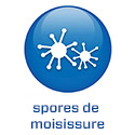2022 - CH - FR -BS5.7 - Schimmelsporen (.ch)
